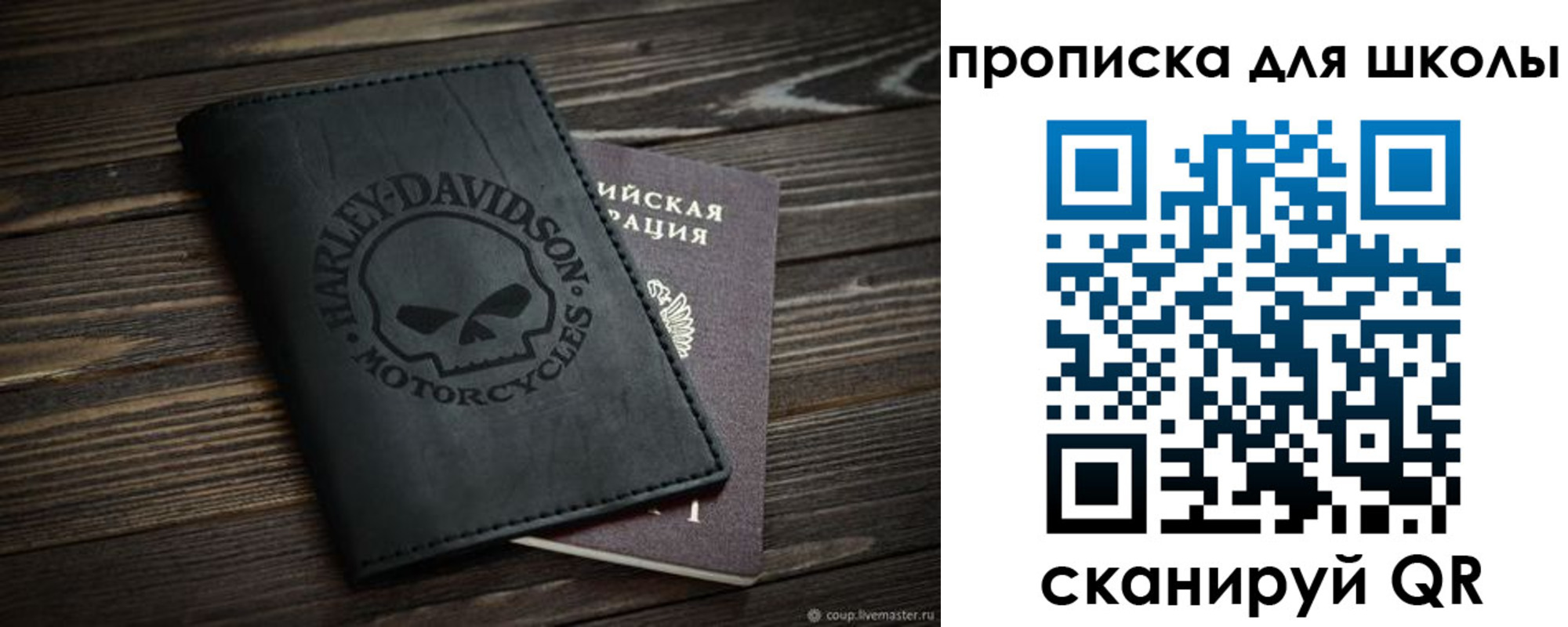 прописка в Жуковском
